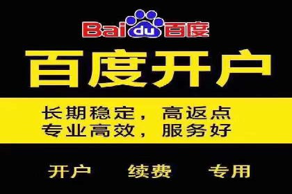 百度推广竞价全解析：某电商平台的营销策略